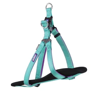 Active Walking Dog Harness - Aqua & Purple