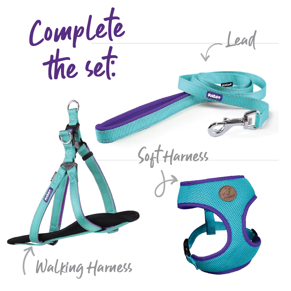 Active Walking Dog Harness - Aqua & Purple