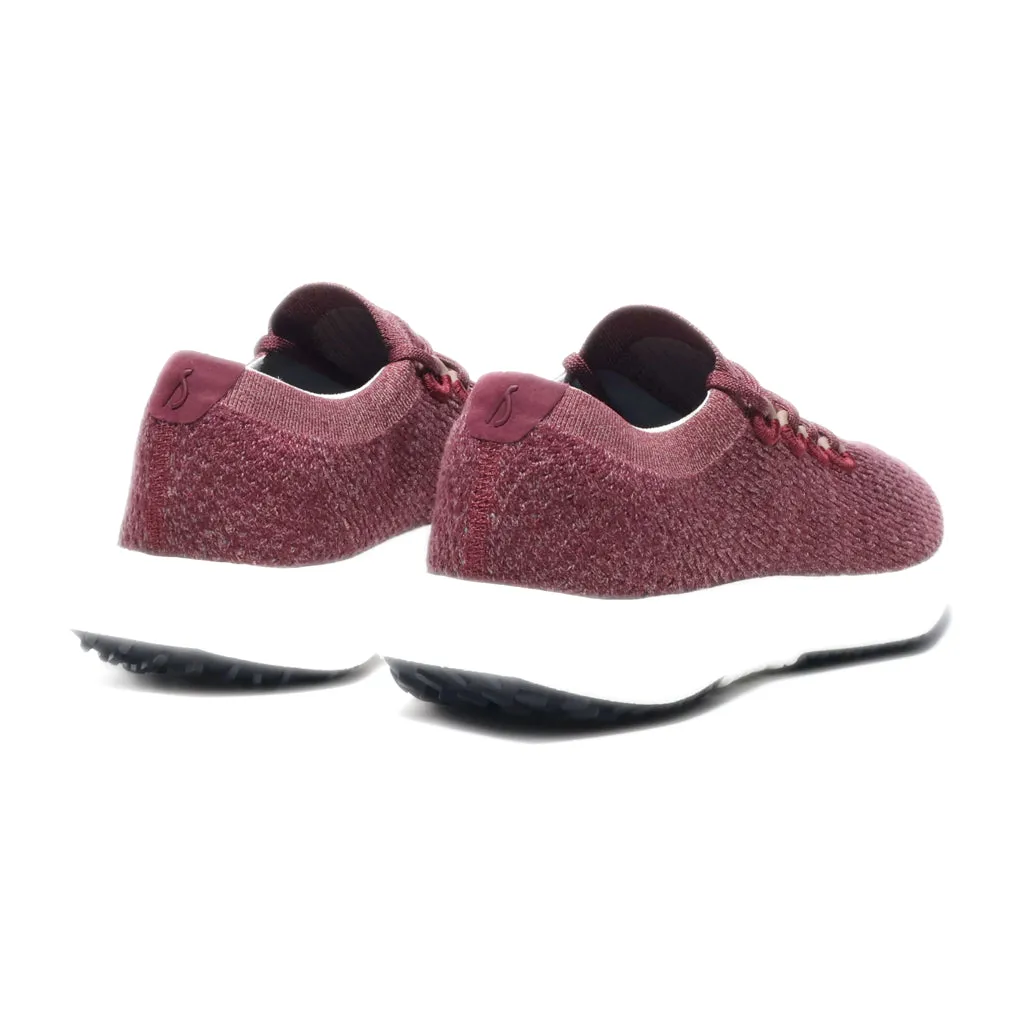 Allbirds Dasher Mizzles Sport Shoes Wool Maroon Colour For Men